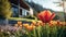 Vibrant Tulip Field: Modern Vray Tracing With Shallow Depth Of Field