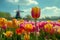 Vibrant Tulip Field with Windmill Background, Springtime Bloom