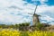 Vibrant tulips field with Dutch windmills