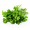 Vibrant Ultra Hd Image Of Coriander On White Background