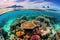 Vibrant underwater coral reef with diverse fish swimming among corals. Generative AI