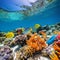 Vibrant Underwater Paradise: Colorful Snorkeling Gear amidst Coral Reefs and Tropical Fish