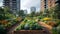 A Vibrant Vegetable Garden in a Urban Setting