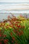 Vibrant vertical shot of a group of red flowers, their petals cascading elegantly