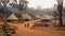 Vibrant Village Life: African Hamlet with Charming Round Huts