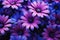 Vibrant Visions: A Spectacular Display of Purple and Blue Blooms