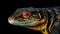 Vibrant Water Monitor Lizard In Stunning Geometric Optical Illusion