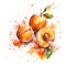 Vibrant watercolor apricots burst with juicy splendor