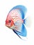 Vibrant Watercolor Discus Fish on White Background AI Generated