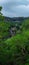 Vibrant Waterfall in Lush Green Forest