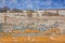 A Vibrant waterhole in Etosha