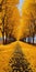 Vibrant Whimsy: Mesmerizing Yellow Path With Trees In 8k Resolution