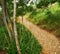 Vibrant wilderness, inside the crater of Koko Head, Oahu, Hawaii. Koko head hike trail lookout mountain on Hawaii