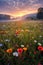 vibrant wildflower meadow and sunrise