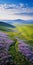 Vibrant Wildflower Path On Green Field A Captivating Nature Photography