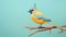 Vibrant Wildlife Painting: Colorful Bird On Blue Background