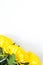Vibrant yellow chrysanthemums on white background. Flat lay. Vertical. Bottom corner location. Mockup with copy space.