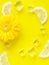 Vibrant yellow lemon citrus slice background with ice cubes, flowers