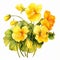 Vibrant Yellow Nasturtium Clipart On White Background