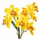 Vibrant Yellow Orchids Vector Jpg - Realistic Rendering