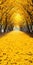 Vibrant Yellow Path With Lined Leaves - A Stunning Artistic Journey