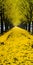 Vibrant Yellow Path: A Surreal Celebration Of Nature In High Resolution
