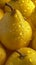 Vibrant Yellow Pears: A Refreshing Closeup with Sprays of Lemon