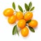 Vibrant Yellow Tangerines: Intricate Foliage In Cranberrycore Style