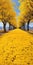 Vibrant Yellow Trees: Captivating National Geographic Style Photography