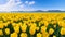 Vibrant Yellow Tulips In Terragen Style - 8k Resolution