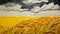 Vibrant Yellow Wheat And Clouds: A Stunning Monochrome Relief Sculpture Painting