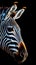 Vibrant Zebra on Dark Background AI Generated