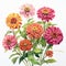 Vibrant Zinnia Flowers: Detailed Botanical Illustration By Don Murphy