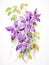 Vibrantly Blooming Watercolor Clematis Vine Flowers AI Generated