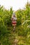 Vibrantly dressed young girl walking through a corn field