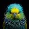 Vibrantly Surreal Close-up Of Colorful Budgerigar Bird