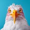 Vibrantly Surreal Seagull: Close-up Face In Beautiful Eagle Style