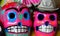 Vibrating skulls mexican pink