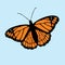 Viceroy butterfly vector illustration