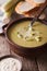 Vichyssoise soup in a bowl close-up on the table. vertical