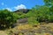 The vicinity of the golden and cave temples in Dambulla in Sri Lanka