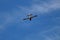 Vicopisano, Pisa, Italy - 25 Febbraio 2019: a canadair fire brigade plane seen from behind