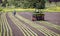 Victoria, British Columbia/ Canada - 06/18/2019: Workers plant rows of crops in a farmers field with the use of a   crop tractor .