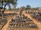 VICTORIA FALLS ZIMBABWE - OCTOBER 24: statuettes carved from stone, 24. 10, 2014 marketplace in Victoria falls Zimbawe.