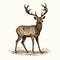 Victorian Engraving Style: Majestic Deer With Large Antlers In Field