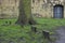 Victorian Graves in the Lucy Tower at Lincoln Castle