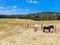 Victorian Rural Country in Australia