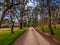 Victorian Rural Country Landscape in Australia