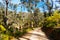 Victorian Rural Country Landscape in Australia