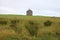 Victorian stone folly on top of hill